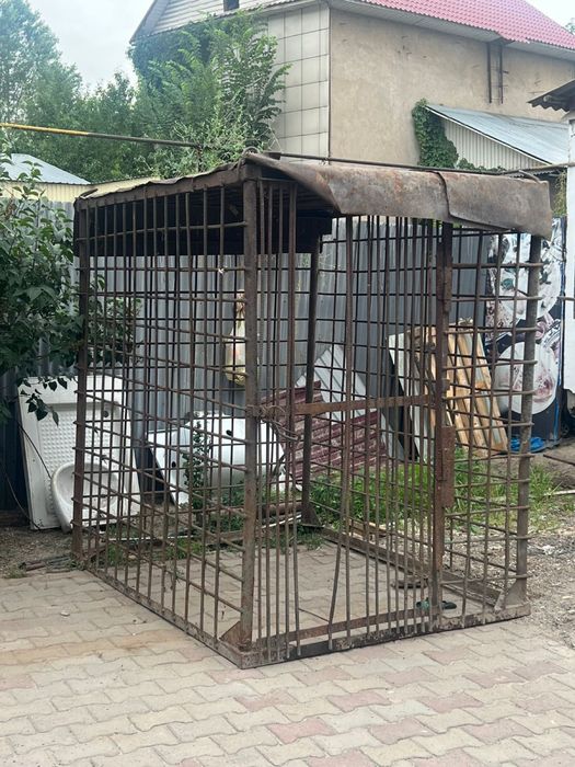 Барьер для собаки