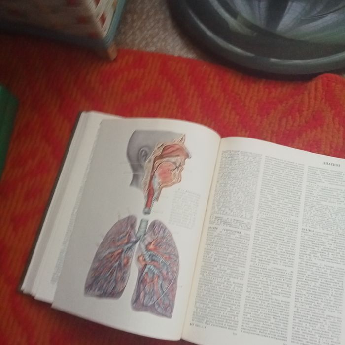 Медицинский энциклопедия