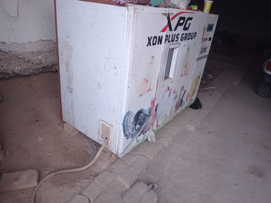 Инкубатор срочно сотилади состояние рабочей мингталий