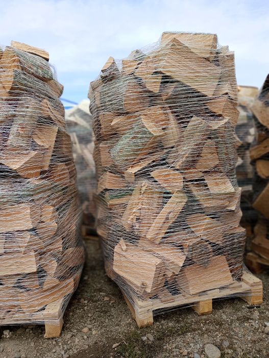 Lemn de foc fag tăiat,ambalat pe palet