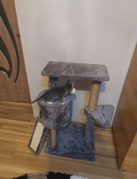 Vând loc de joacă pentru pisici