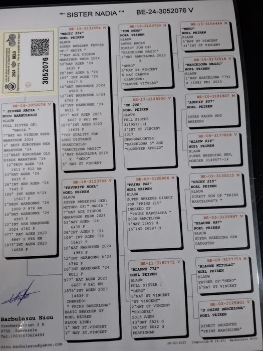 Tineret voiajori 2026