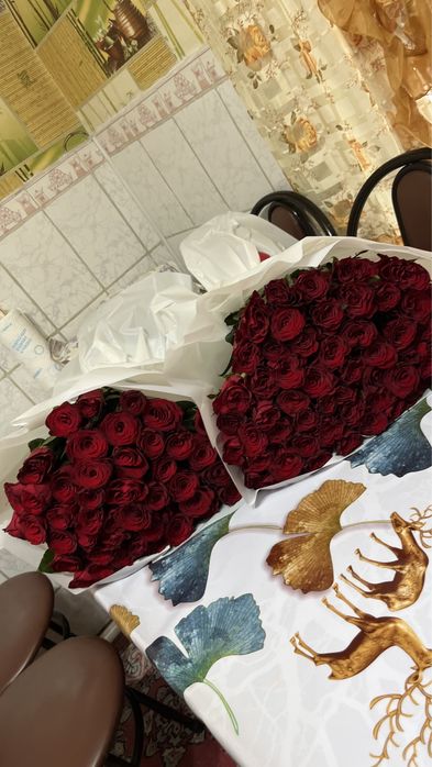 Красные розы  51штук