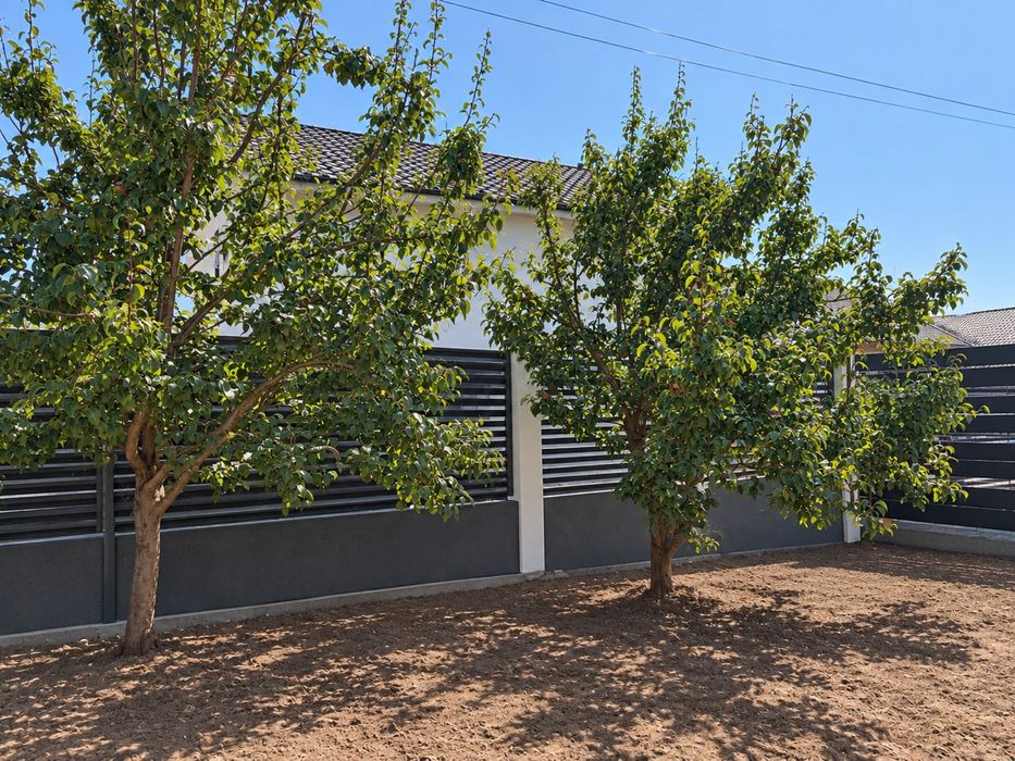 Casa P+1 Lumina Finalizata