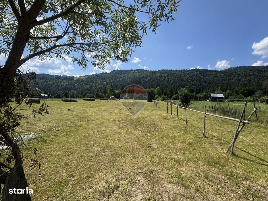 De vanzare | Teren intravilan 2802mp | Sabasa | Borca | Neamt