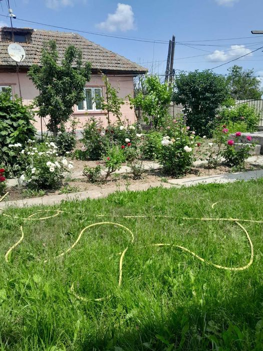 Casa de vanzare- Cobadin- Jud. Constanta- Teren 2200 mp