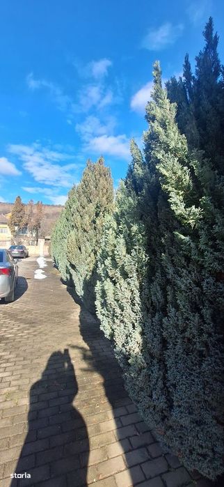 Casa individuală cu teren generos