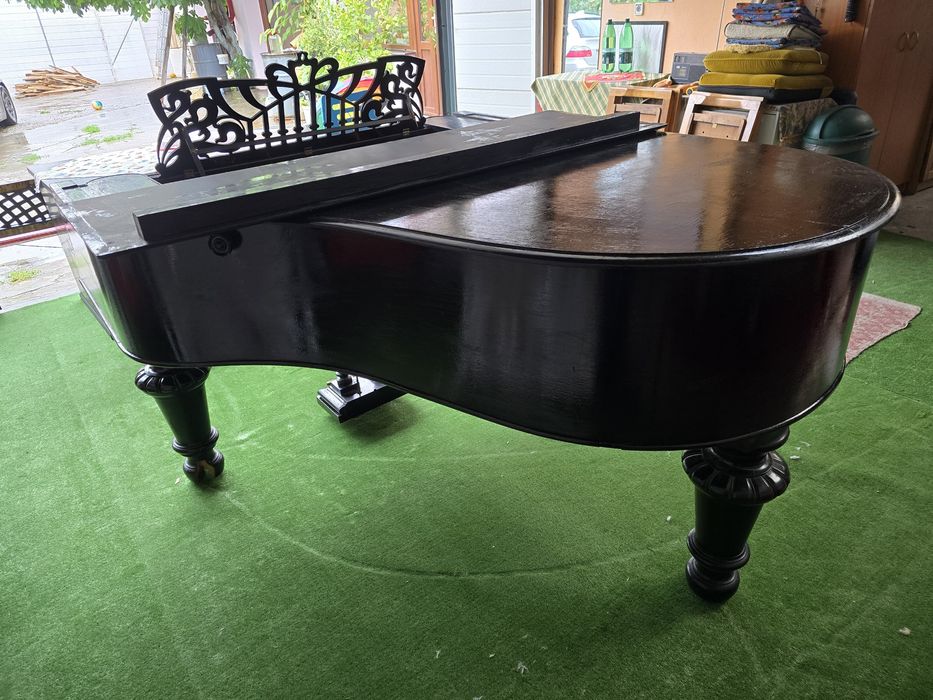 Pian coada medie Ed.Seiler