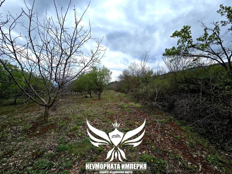 Продава се Земеделски имот в с. Червен, Област Пловдив -  кв.м за 12150 €/дка - Снимка #14