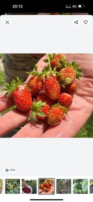 Продам дачу , земельный участок 9 соток