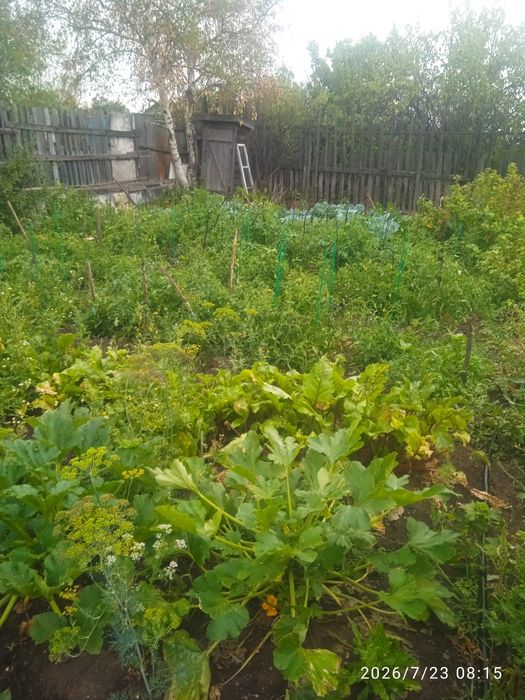 Продам дачу " Уралочка"
