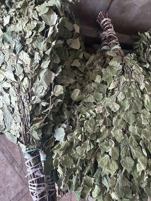 Продам веники для бани
