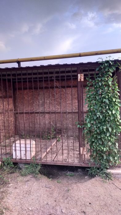 Продам электротовар