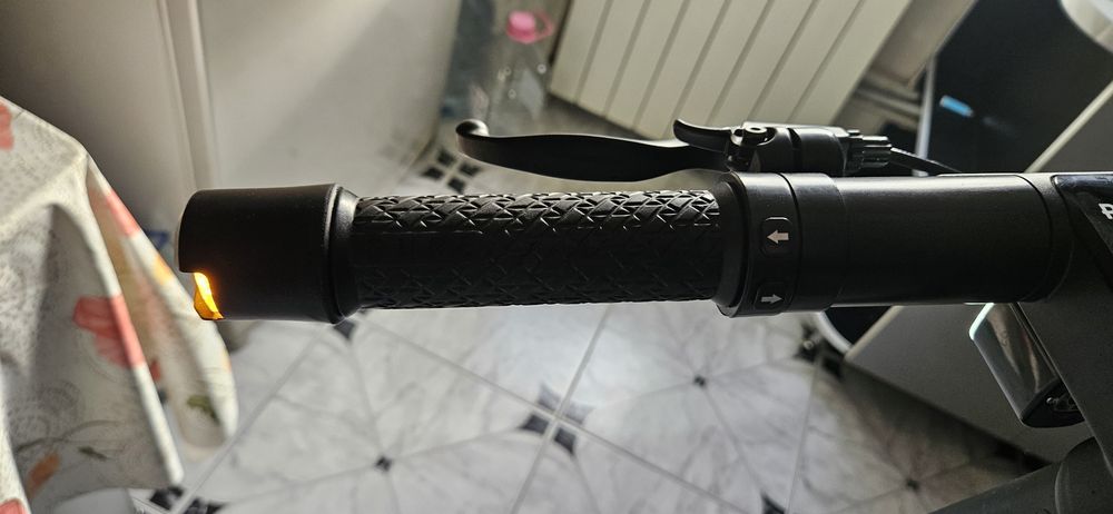 Trotineta electrică