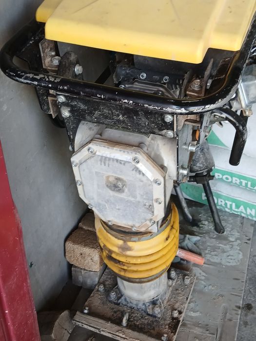 Kenguru trambovka sotiladi