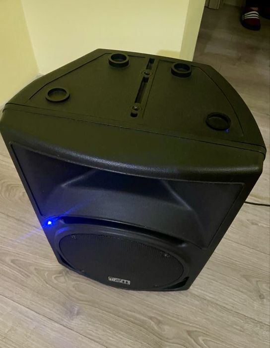 Boxa profesionala 300w