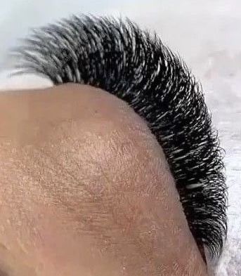 Extensii de gene sector 1