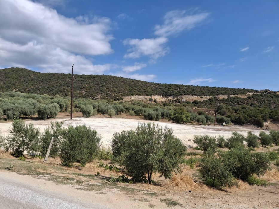 Продава се Парцел в София, Стрелбище - 300 кв.м за 34 €/кв.м - Снимка #9