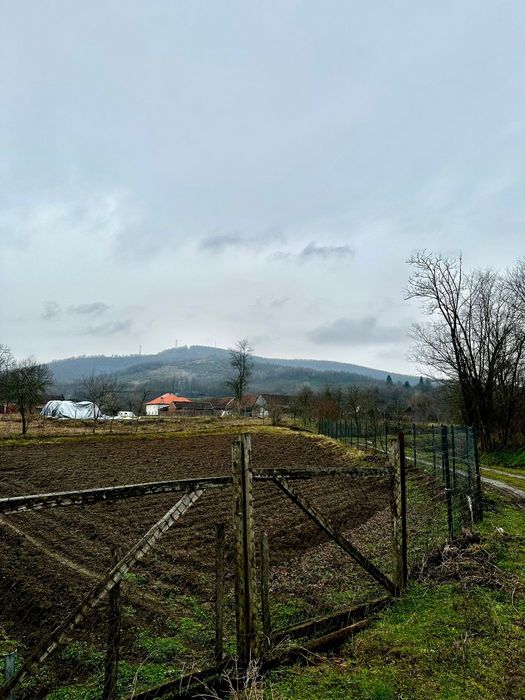 Casă de vânzare cu grădină