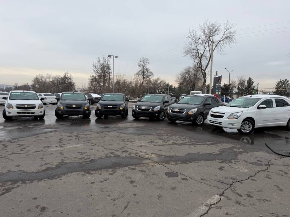 COBALT Style MCM, Midnight MCM