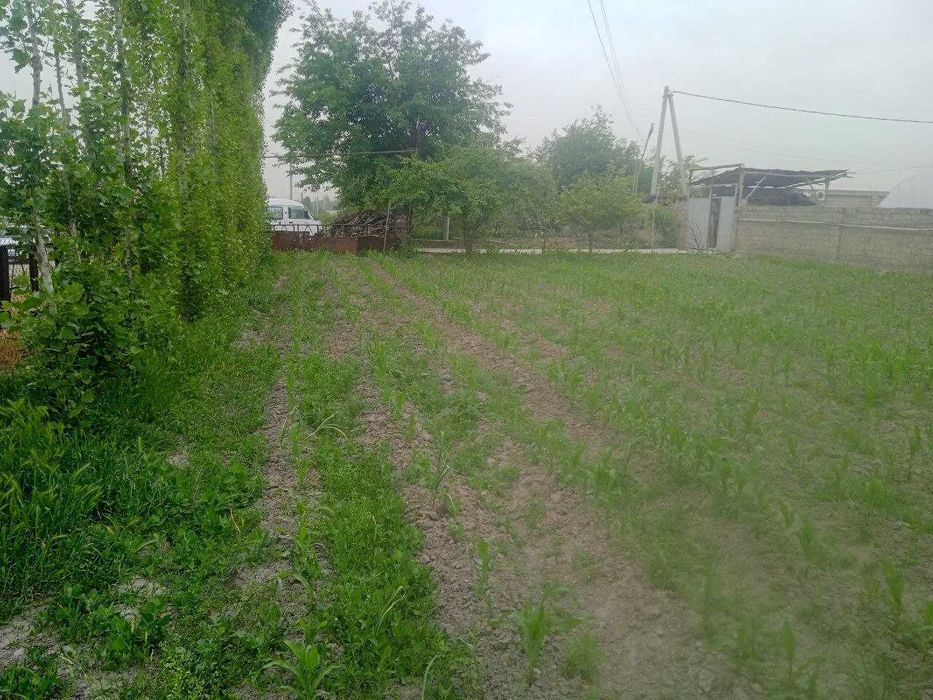 Yer uchastka 6 sotix