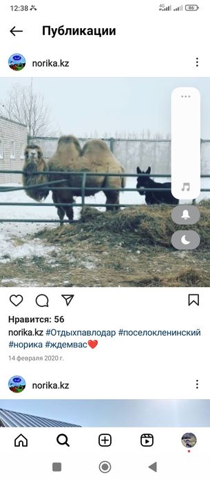 Сдам дом отдыха сутки