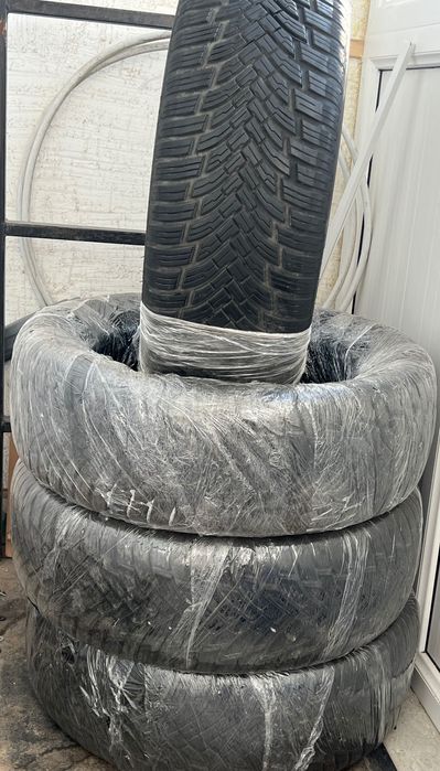 Petlass(Lassa) multi action All seasons  17R