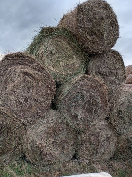 Продаётся сено луговое