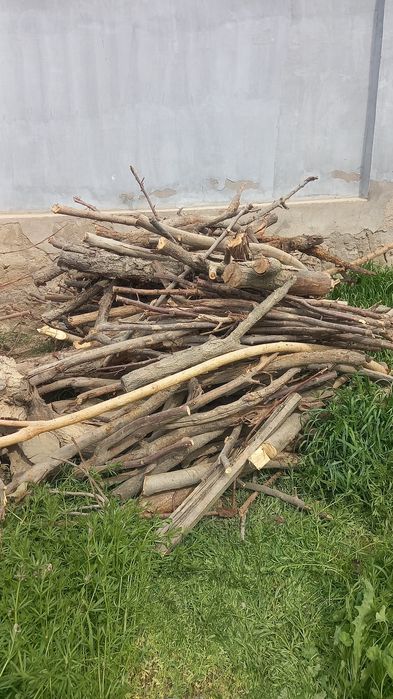 Продам   большое ореховое дерево . И дрова абрикос и орех .