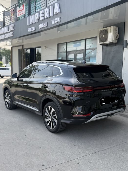 BYD Song Pro DM-i Champion 2024 — 3