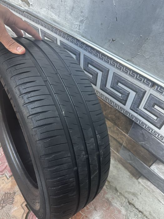 kamplekt arginal 15-lik