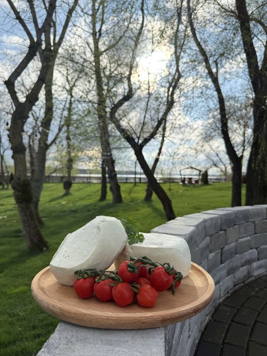Brânză proaspătă de oaie