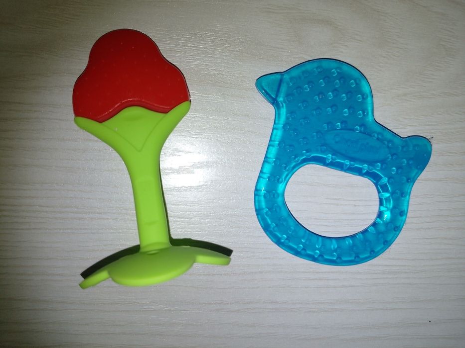 Отдам даром зубогрыз 2