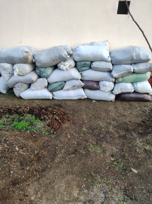 Биогумс табби огит