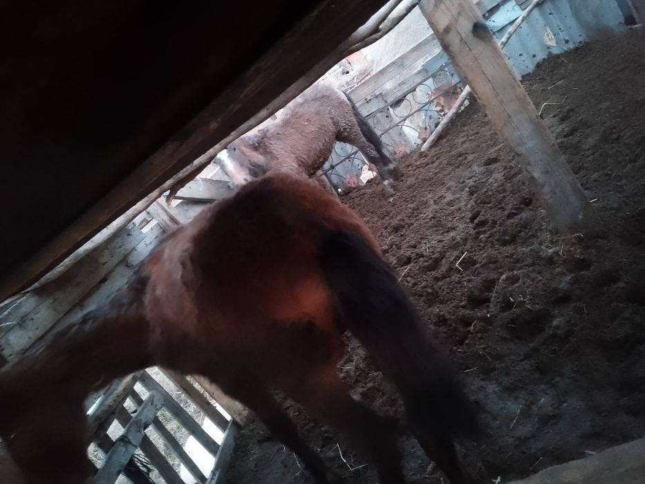 Продам 360000 торг