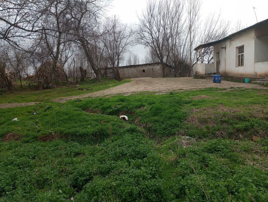 Koʻchmas mulk tayyor dala hovli