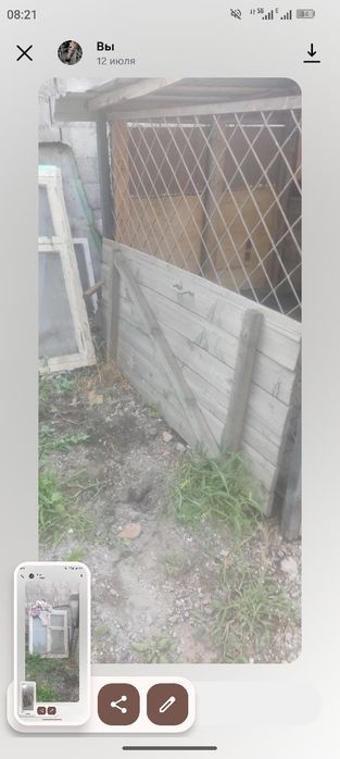 Дрова бесплатно отдам
