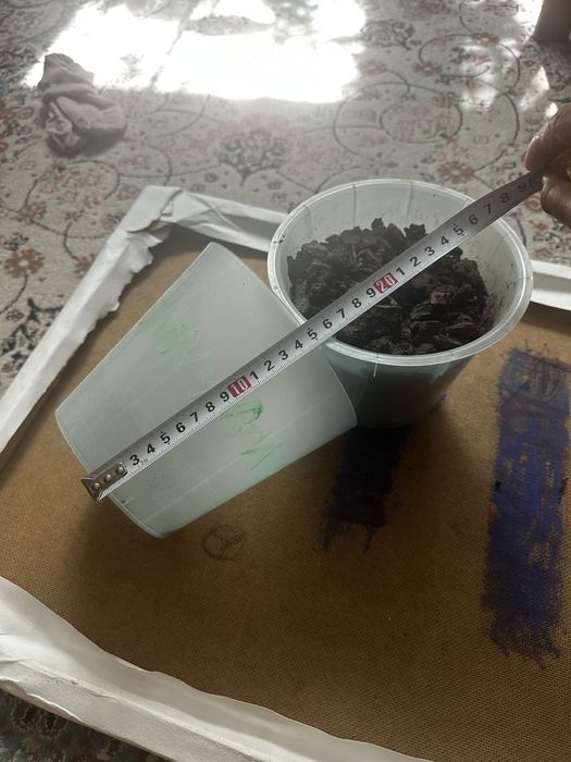 Горшок для орхидеи