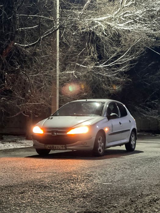 Peugeot 206 [POP-ART]