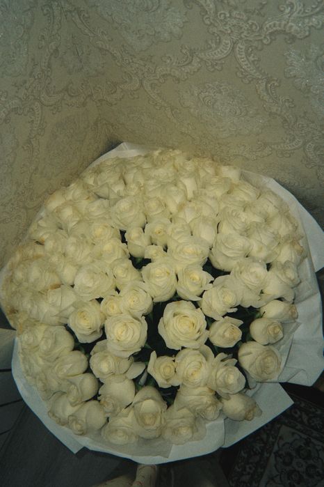 Цветы 101 роаза Гүл