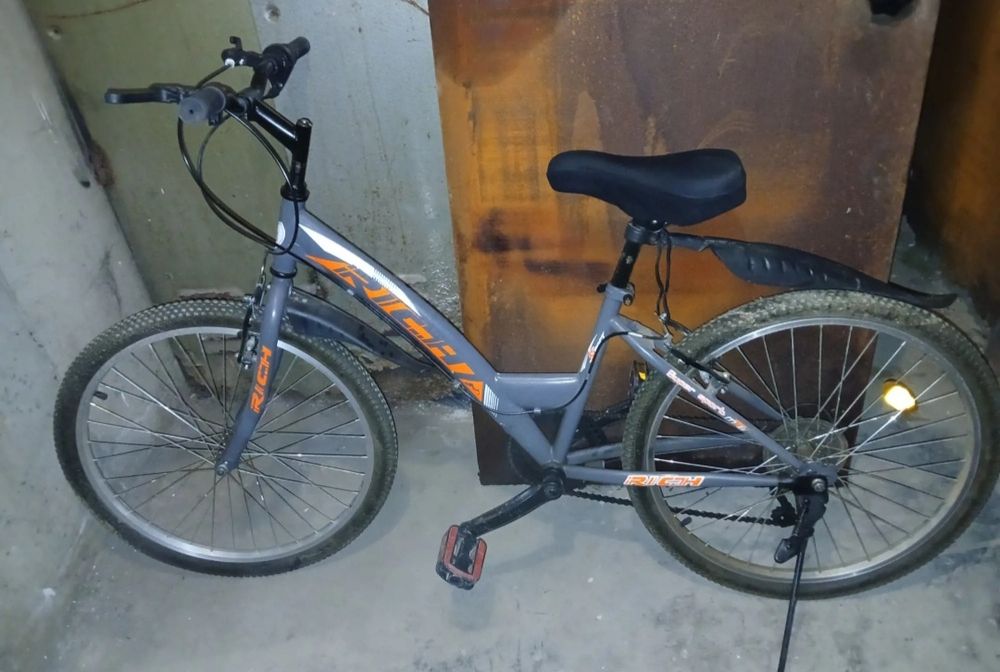 Bicicleta rich de oras