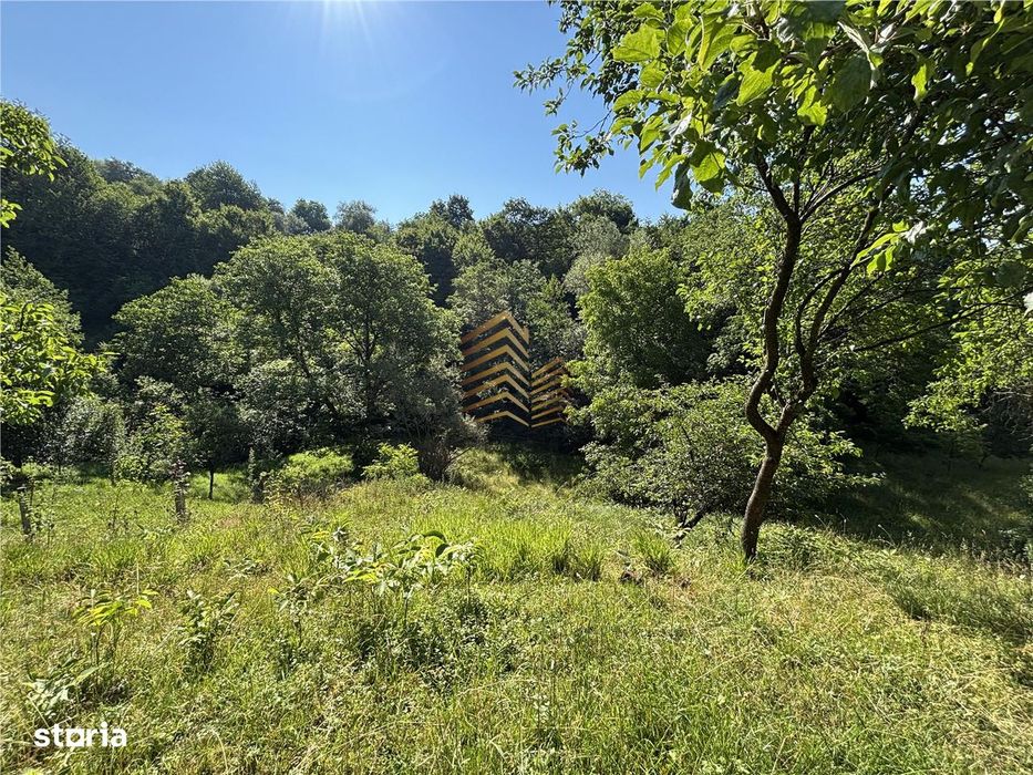 Casa în Mijlocenii Bargaului