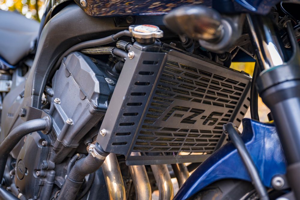 Yamaha Fazer FZ6 S2 2009