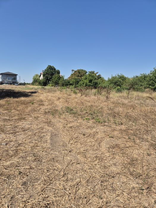 TEREN 1.000 mp cu CU – Aprobat pentru 8 LOCUINȚE | CONSTANȚA