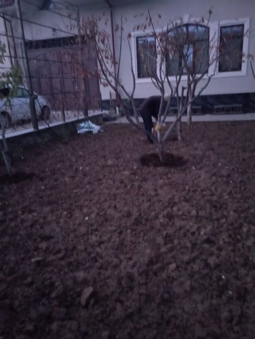 Sadovnik bogʻbon xizmati koʻrsatish