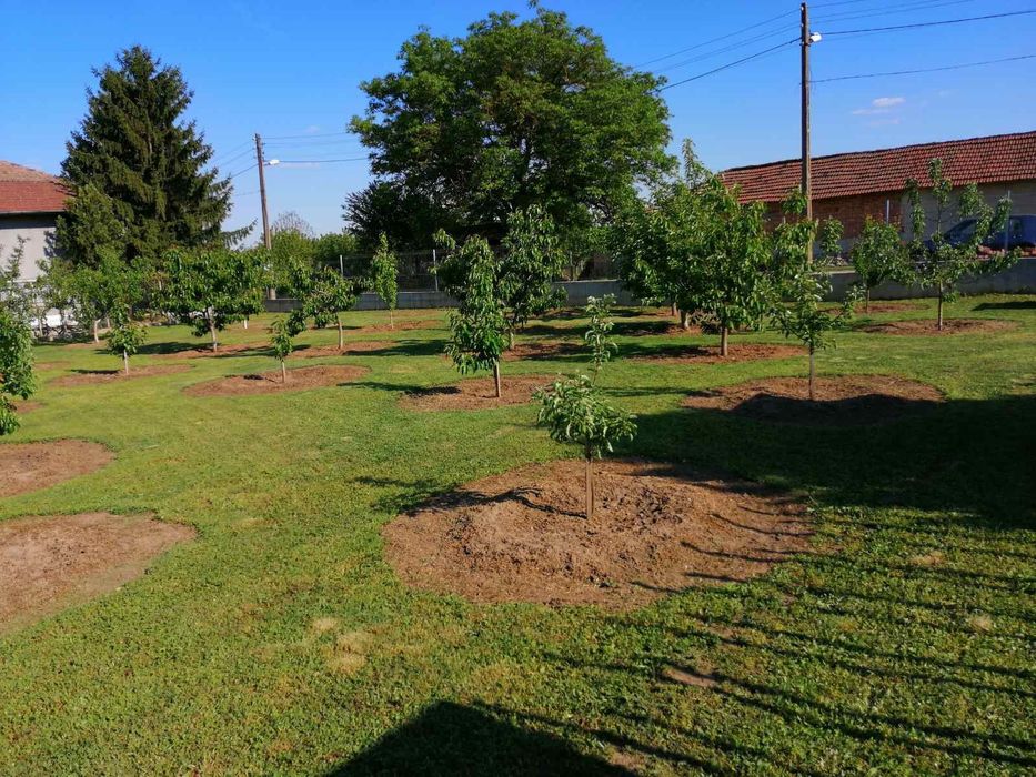 Косене на трева, почистване на силно обраснали места, коренене,рязане