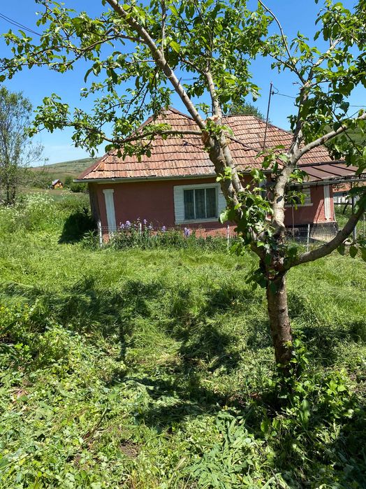 Casă de vânzare la țară + teren generos – zonă liniștită, aproape de natură – comuna Buza, jud. Cluj