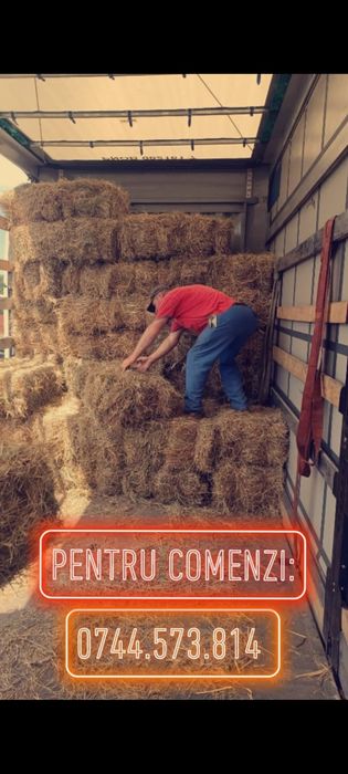 Baloti fan.Rot.20-40.drept.500.TIR Sau lucerna.Transport inclus.RO