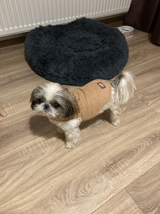 Hainute catei noi si utilizate de la 20 ron