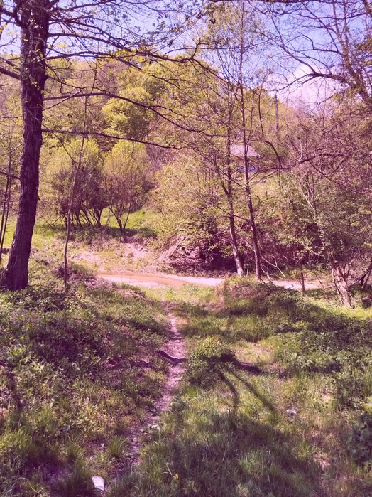 Teren de vis la munte – 7.795 mp – construibil – pârâu, pădure, fără vecini – Vâlcea
